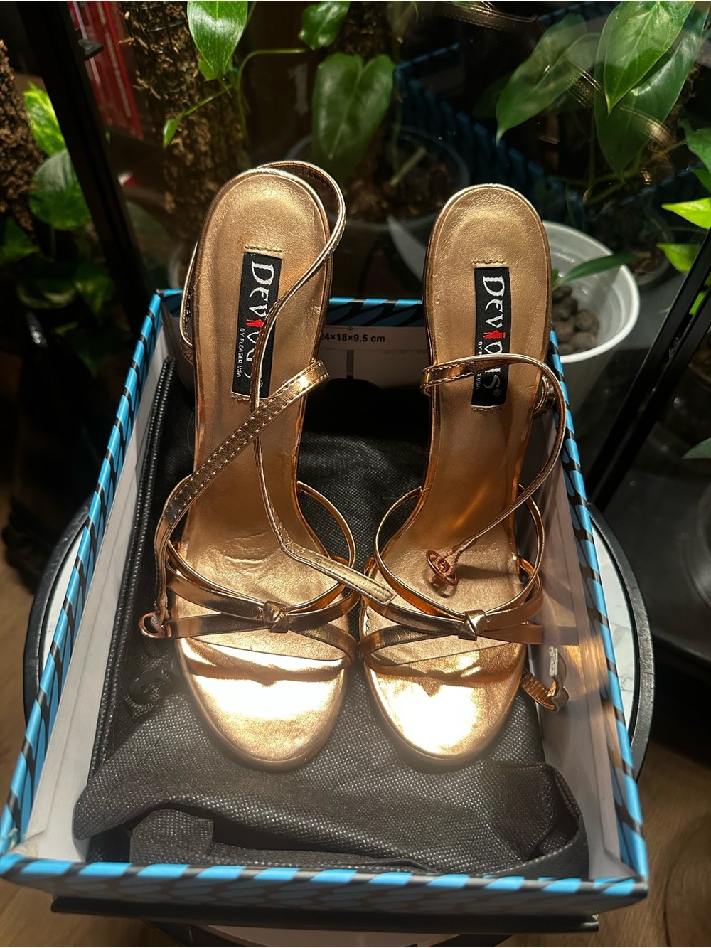 Pleaser’s Devious Rise Gold Heel’s